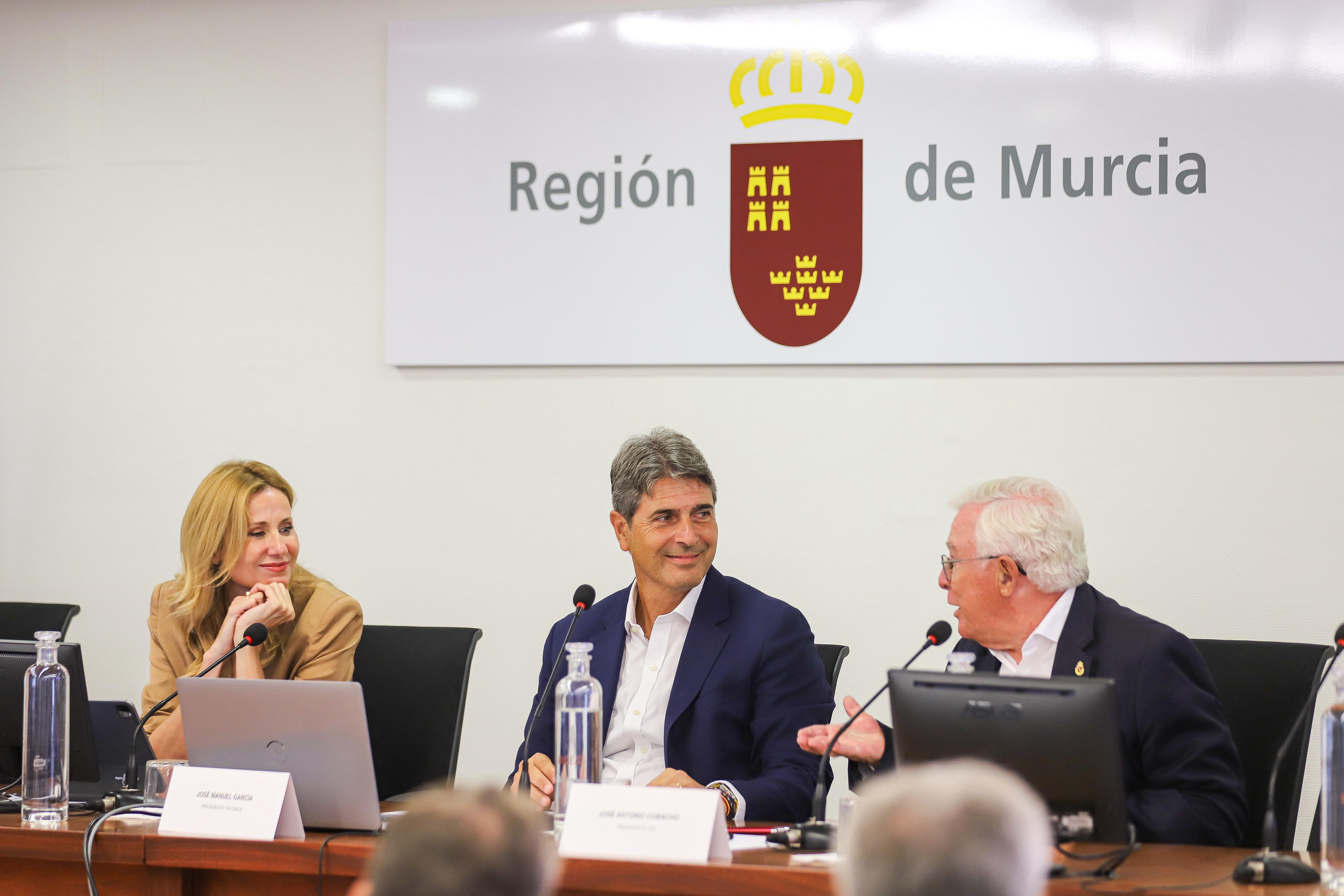 Presentacion_Memoria2024_Crysalia